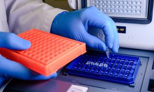 Wielki sukces naukowców PAN i polskich firm: finalna wersja pierwszego polskiego testu gene