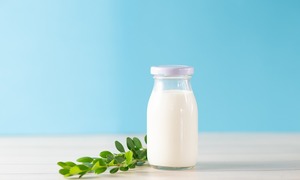 TurtleTree debiutuje z laktoferyną pochodzącą z precyzyjnej fermentacji