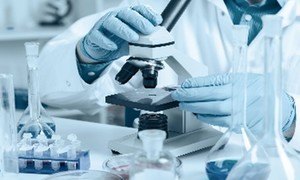 Pharmena opracowała główne założenia receptury wyrobu medycznego do stosowania w trudno goj