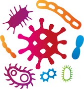 Ogólnopolska Mikrobiologiczna Konferencja Naukowa MICROBS