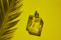 For show action podstawy perfumerii