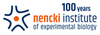 GROUP LEADERS IN NEUROPLASTICITY AND BRAIN DISORDERS