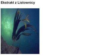 KELP SEA EXTRACT - LISTOWNICA (ekstrakt wodno-glikolowy)