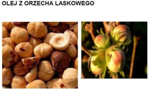 HAZELNUT OIL - ORZECH LASKOWY (olej zimnotłoczony)