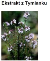 THYME EXTRACT H.GL.MS - TYMIANEK (ekstrakt glicerynowo-wodny)