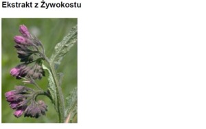COMFREY (LEAVES) EXTRACT H.GL.-M.S.  - ŻYWOKOST (ekstrakt glicerynowo-wodny)