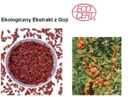 GOJI ECO - GOJI (ekstrakt ekologiczny)
