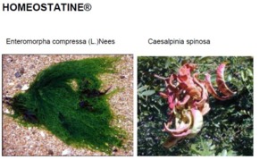 HOMEOSTATINE® M.S. 