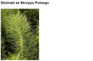 HORSETAIL EXTRACT H.GL-MS - SKRZYP (ekstrakt glicerynowo-wodny)