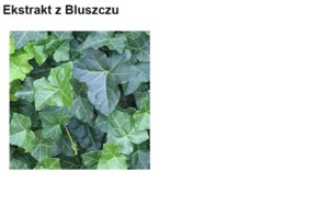 IVY EXTRACT H.GL.MS - BLUSZCZ (ekstrakt glicerynowo-wodny)