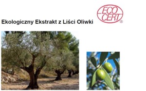 OLIVE ECO - OLIWKA (ekstrakt ekologiczny z liści)