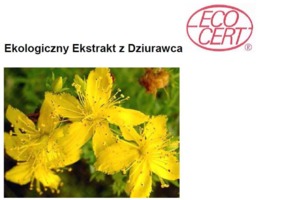ST. JOHNS WORT ECO - DZIURAWIEC (ekstrakt ekologiczny)