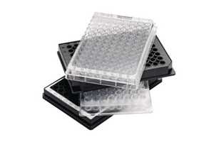 Microplate VIS, 96/F-PS, przezroczyste dolki, PCR clean, 40 plytek (4 x 10 szt.)